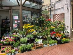 東京都大田区の花屋　秀花園